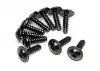 T.P Flanged Screw M3x10mm (10 pcs)