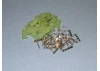 Mini Tamiya Connector Set 10prs