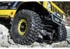 ProLine Hyrax 1.9 Predator Rock Terrain Crawler Tyres (2)