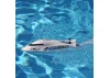 Pro Boat Jet Jam 12 - White
