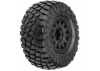 ProLine BF Goodrich Baja KR2 M2 SC Tyres on Black Raid 6X30 Wheels (2)