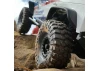 ProLine BF Goodrich Krawler KX Red Label 1.9 Predator Tyres (2) ** CLEARANCE **