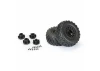 ProLine Badlands MX SC 2.2/3.0 M2 Tyres Mounted on Raid 6X30 Black Wheels (2)