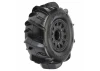 ProLine Dumont Paddle SC Tyres On Black Raid 6x30 SC Wheels (2) ** CLEARANCE **