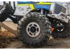 ProLine Mickey Thompson Baja Pro X 1.9 Predator Rock Tyres (2)