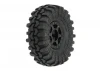 ProLine Interco Super Swamper TSL SX 1.0 on Black Holcomb Wheels - Fits Axial SCX24 (4)