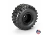 1:10 Dirt Hawg 2.0 F/R 2.6 MT Tires Mounted ARRMA Stock Whe