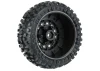 ProLine Badlands SC 2.2/3.0 Tyres On Raid 6X30 Black Wheels Wheels (2)