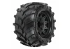 ProLine Masher 2.8 Tyres Mounted on Black Raid 6X30 Removable Hex Wheels - 12mm Hex