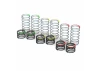 ProLine Spring Assortment For MAXX Powerstroke Shocks