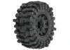 ProLine Mickey Thompson Baja Pro X 2.8 Tires Mounted on Raid Black Wheels (2) ** CLEARANCE **