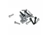 Stinger Engines Screw Set (fits 30Ccc Twin)