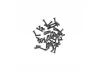 Ti Screw Set - Yokomo B-Max2 (51)