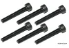 4x25mm Screw