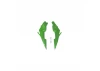 Body - Upper (Green)