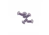 Alloy Caphead Hex Screws M3 x 6 (10)