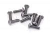 Alloy Caphead Hex Screws M3 x 10 (10)