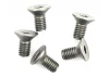 Titanium Countersunk Hex Screws M3 x 6 (10)