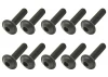 Steel Fl Caphead Hex Screws M3 x 12 (10)