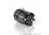 CAYOTE CREST 1:10 Stock Motor 21.5T