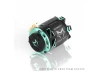 CAYOTE CREST 1:10 Stock Motor 21.5T