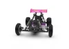Schumacher Cougar 2 Works Classic