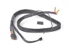 XT60 - XH 2S Balance Charger Lead - 4mm/5mm Plugs