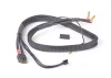 XT60 - XH 2S Balance Charger Lead - 4mm/5mm Plugs