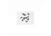 Speed Pack - Torx M3 x 6 Countersunk