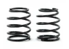 Big Bore Springs; 17lb/in (2)