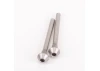 Pivot Pin; Screw Type 29mm (2)