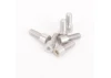 Alloy Rear Wheel Screws - Atom/Eclipse (6)
