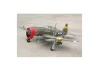 Seagull P-47D, Little Bunny MkII (10cc) 1.39m / 55in with Electric Retracts