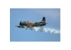 Seagull Skraider 35 - 60cc 86in Camo
