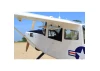 Seagull L-19A Bird Dog (Dead Eye) (60-80cc) 3.09m (122.0in)