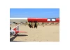 Seagull L-19A Bird Dog (Dead Eye) (60-80cc) 3.09m (122.0in)
