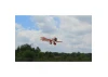 Seagull Gilmore (Red Lion) Racer (45-55cc) 2.05m (81in)