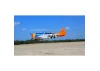 Seagull P-47 Thunderbolt, Tarheel Hal (30-38cc) 1.77m / 70in with Electric Retracts
