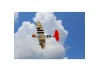 Seagull P-47 Thunderbolt, Tarheel Hal (30-38cc) 1.77m / 70in with Electric Retracts