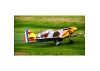 Seagull Dewoitine D-520 (26-30cc) 1.8m (71in) with 84 Electric Retracts