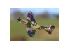 Sonik RC Spitfire Mk IX 400 RTF - With Flight Stabilization