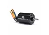 Firma 3650 4000Kv 4-Pole Sensorless Brushless Motor: 5mm