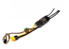 Spektrum Avian 45 AMP Brushless Smart ESC