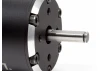 Firma 1250Kv Brushless Motor - 8mm Bullet