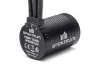Spektrum Firma 3300Kv Brushless Motor