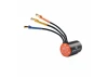 Firma 2436 4500Kv 4-Pole Sensorless Brushless Motor: Minis