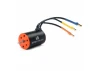 Firma 2436 4500Kv 4-Pole Sensorless Brushless Motor: Minis