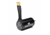 Firma 3660-4000Kv 4-Pole Sensorless Brushless Motor: 5mm