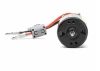 Spektrum Firma 20T Rebuildable 5-Pole Brushed Crawler Motor