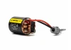Spektrum Firma 20T Rebuildable 5-Pole Brushed Crawler Motor